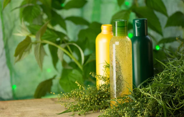 Botella Con Aceite Estragón Estragón Verde Fresco Aceite Esencial —  Fotos de Stock