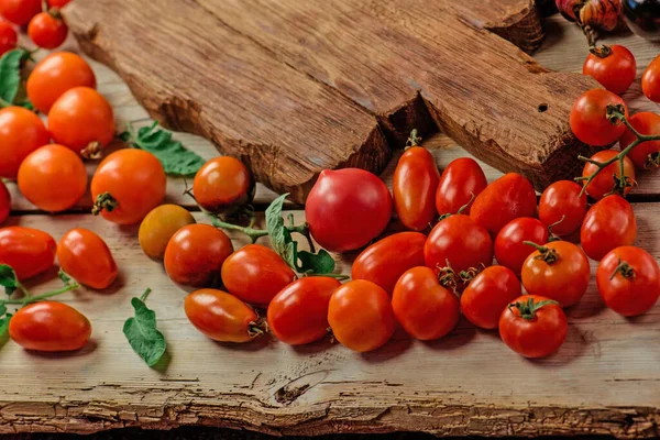 Mezclar Fondo Tomates Varias Variedades Tomates Día Verano Diferentes Tipos —  Fotos de Stock