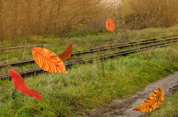 Autumn leaves falling on a railway track. Falling autumn leaves natural background. Colorful foliage in the park