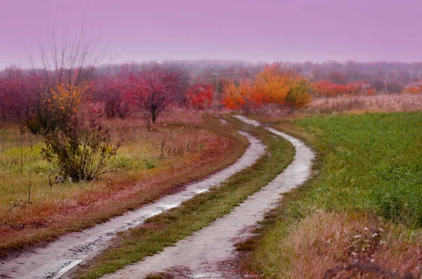 Colorata Strada Autunnale Nella Foresta Strada Attraverso Parco Autunno — Foto Stock