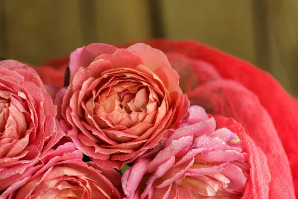 Flores Colores Una Mesa Hermosas Flores Mesa Madera Rosa Rosa —  Fotos de Stock