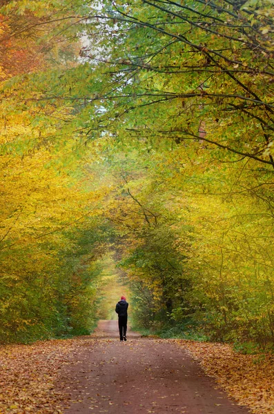 Man walking on natural path. Young man walking in autumn park. Road in the evening in autumn sunset. One man on his way in autumn forest.