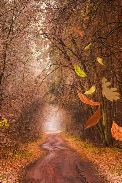 Der Rahmen Der Herbstblätter Fällt Auf Den Hintergrund Der Landschaft — Stockfoto