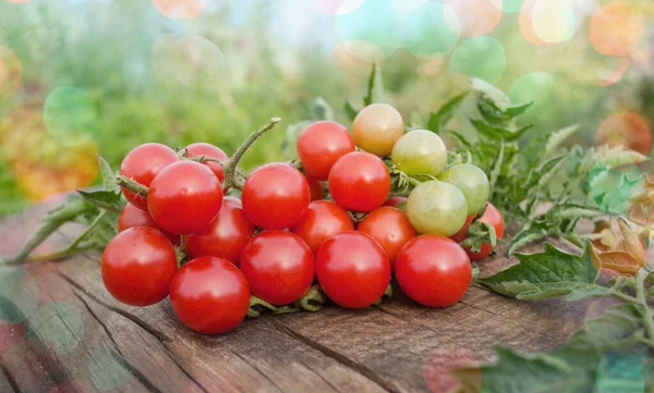 Tomates Cherry Sobre Una Vieja Mesa Madera Tomates Cherry Vid —  Fotos de Stock