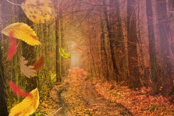 Der Rahmen Der Herbstblätter Fällt Auf Den Hintergrund Der Landschaft — Stockfoto