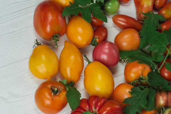 Tomates Coloridos Diferentes Fundo Madeira Mistura Tomates Orgânicos — Fotografia de Stock