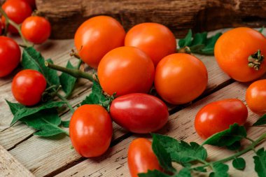 Çiftçi pazarında farklı türde domatesler. Organik yeşil, kırmızı, sarı, turuncu domatesler. Karışık domates hasadı