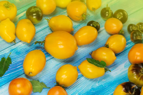 Variedade Tomates Coloridos Frescos Agricultura Biológica Ecológica Grupo Tomates Frescos — Fotografia de Stock