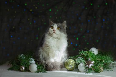 Noel ağacı olan bir Noel kedisi. Noel süslemeli Noel kedisi