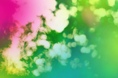 Parlak renkli arka plan ve güneş ışığı. Bahar çiçekleri doğal yeşil arka plan bulanık. 