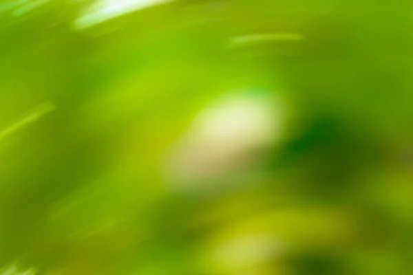 Mooie Bokeh Wazig Bos Achtergrond Abstract Groene Bokeh Achtergrond Zonneschijn — Stockfoto