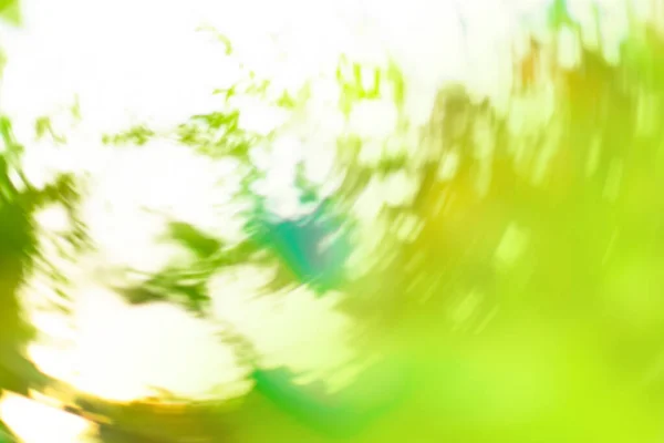 Verse Groene Achtergrond Met Abstracte Wazig Gebladerte Abstract Groene Bokeh — Stockfoto