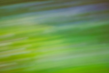 Şaşırtıcı yeşil bitkiler yeşillik arkaplanı bulanıklaştırdı. Parlak yeşil doğa arka planı. Soyut yeşil bokeh arkaplanı. 