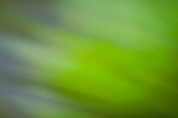 Gloeiende Groene Natuur Achtergrond Abstract Groene Bokeh Achtergrond — Stockfoto