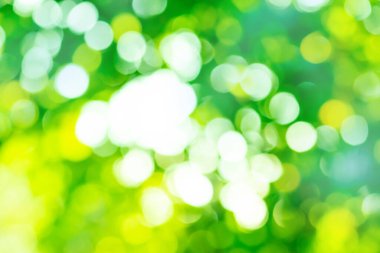 Telif uzayı bokeh bulanık efekt arkaplanı. Bulanık yeşil bokeh arkaplanı.