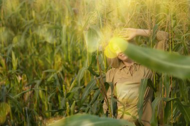 Cheerful young woman at corn field hiding behind green corn leaves. Positive joyful young woman with big smile