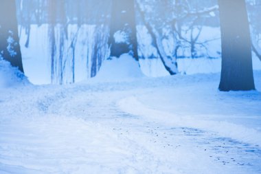 Bakış açısıyla kar dokusu. Kış karlı manzarası.