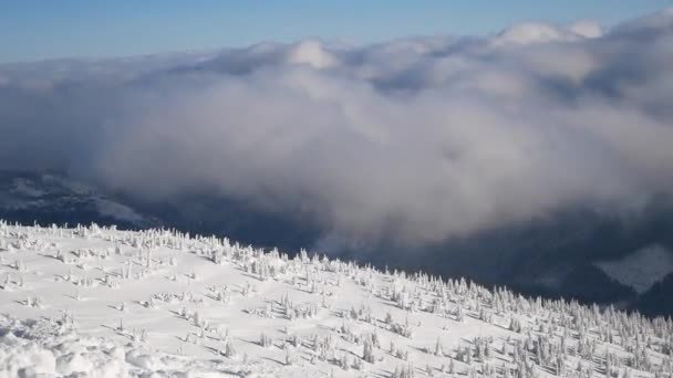 Légi Felvétel Hegyek Ködben Téli Szezonban — Stock videók