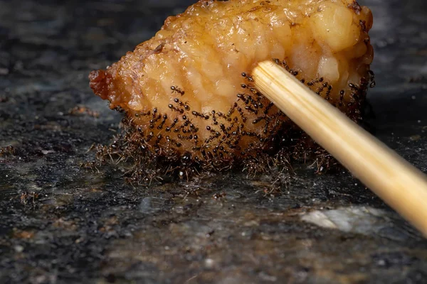 동물성 지방에 머리가 개미들 — 스톡 사진