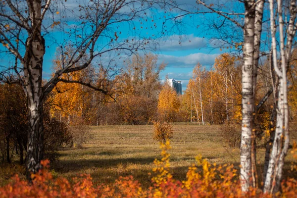 Autumn landscape. Village houses are reflected in the river lake, like gingerbread. Evening sun, sunset. Colorful trees yellow, red, purple shades. Blue sky with light clouds. Russia, Siberia, Perm — Stock Photo, Image