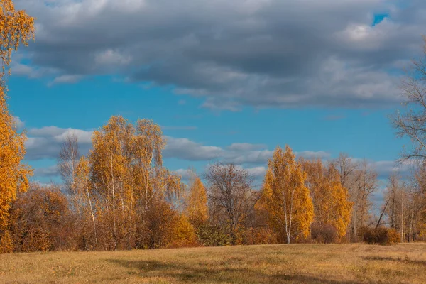 Autumn landscape. Village houses are reflected in the river lake, like gingerbread. Evening sun, sunset. Colorful trees yellow, red, purple shades. Blue sky with light clouds. Russia, Siberia, Perm — Stock Photo, Image