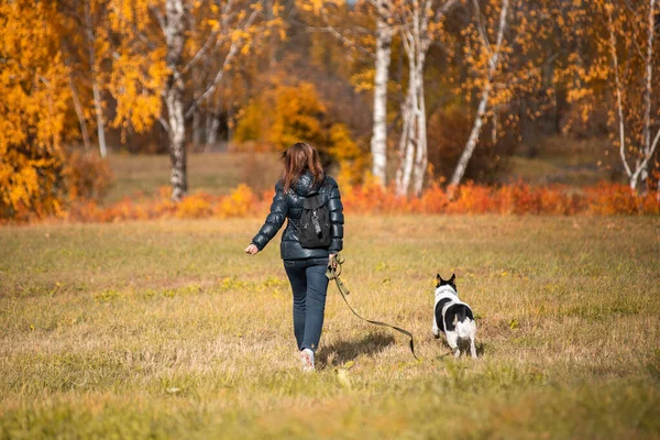 En tjej i höstjacka går med en hund i koppel i höstskogen. — Stockfoto