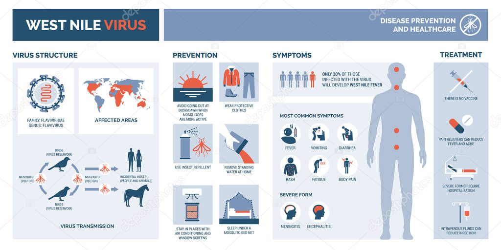 West nile virus infographic: virus structure, transmission, prevention, symptims and treatment