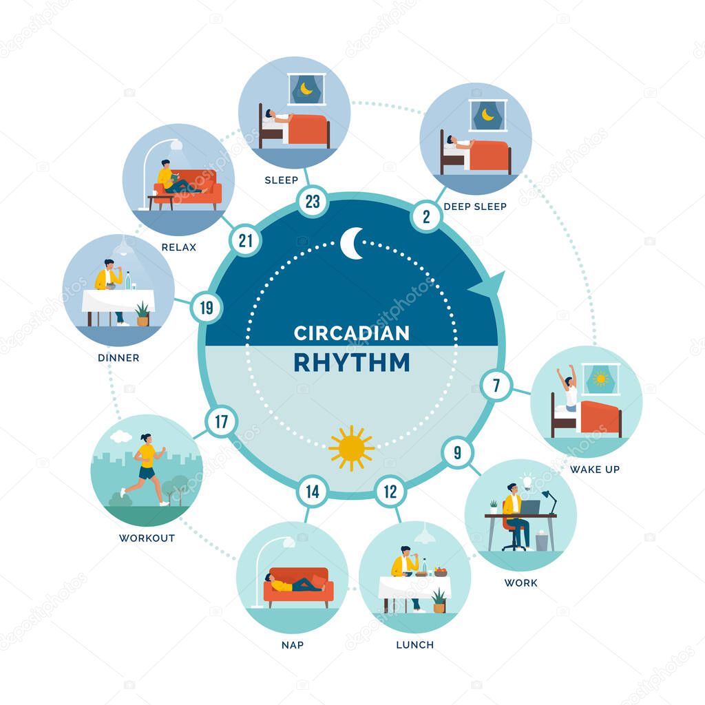 Circadian rhythm and daily activities: daily routine of a woman and sleep-wake cycle, healthy lifestyle concept