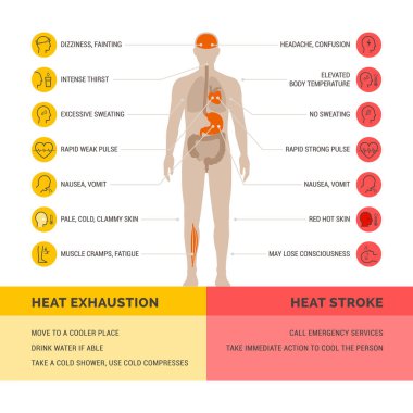 Sıcaklık tükenmesi ve sıcak çarpması sağlık hizmetleri bilgileri: belirtiler ve ilk yardım