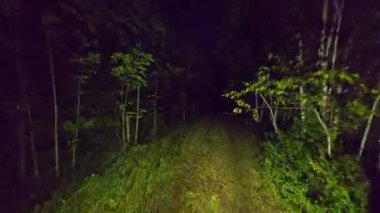 POV geceleri korku içinde sık ormanlarda yürüyor. Karanlık Orman Ormanı Yolu 'ndan kaçarak. Korkunç karanlık gizemli ormanda ya da perili ormanda kaçmak. Cadılar Bayramı korku geçmişi.