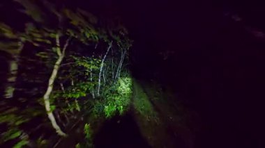 POV geceleri korku içinde sık ormanlarda yürüyor. Karanlık Orman Ormanı Yolu 'ndan kaçarak. Korkunç karanlık gizemli ormanda ya da perili ormanda kaçmak. Cadılar Bayramı korku geçmişi.