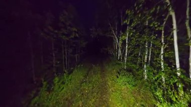 Gece karanlık ormanda kaybolan kişinin görüntüsü. Korku ormanında el feneriyle yürüyorum. Gizemli ormanda kayıp ve yardım arıyor. Ağaçlarla çevrili karanlıkta kaybolma korkusu..