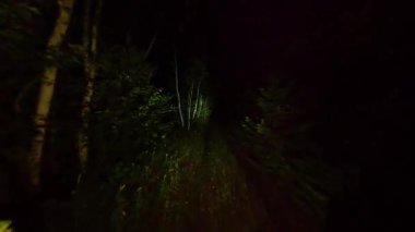 POV geceleri korku içinde sık ormanlarda yürüyor. Karanlık Orman Ormanı Yolu 'ndan kaçarak. Korkunç karanlık gizemli ormanda ya da perili ormanda kaçmak. Cadılar Bayramı korku geçmişi.