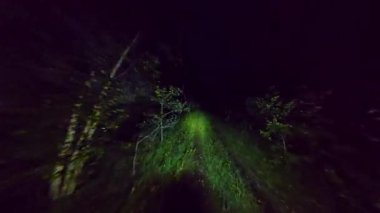 Gece karanlık ormanda kaybolan kişinin görüntüsü. Korku ormanında el feneriyle yürüyorum. Gizemli ormanda kayıp ve yardım arıyor. Ağaçlarla çevrili karanlıkta kaybolma korkusu..