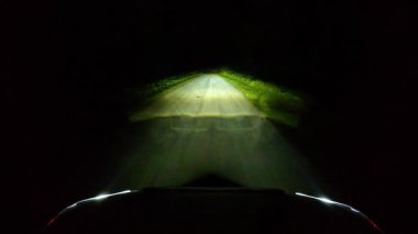 Şehir yolunda gece sürüşü. Karanlık bir gecede ormanın içinden sadece farlarla geçmek. Kırsal kesimde seyahat ederken. Kayalık bir off-road pistinde çakıllı toprak yolda ilerliyorum.