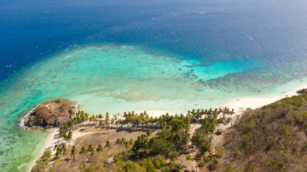 Beach with white sand and palm trees, view from above.Malcapuya Island