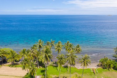 Hindistan cevizi ağaçları ve turkuaz lagün ile Manzara, yukarıdan görünümü.