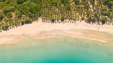 Palmiye ağaçları ve güzel bir lagün ile beyaz kumlu plaj.