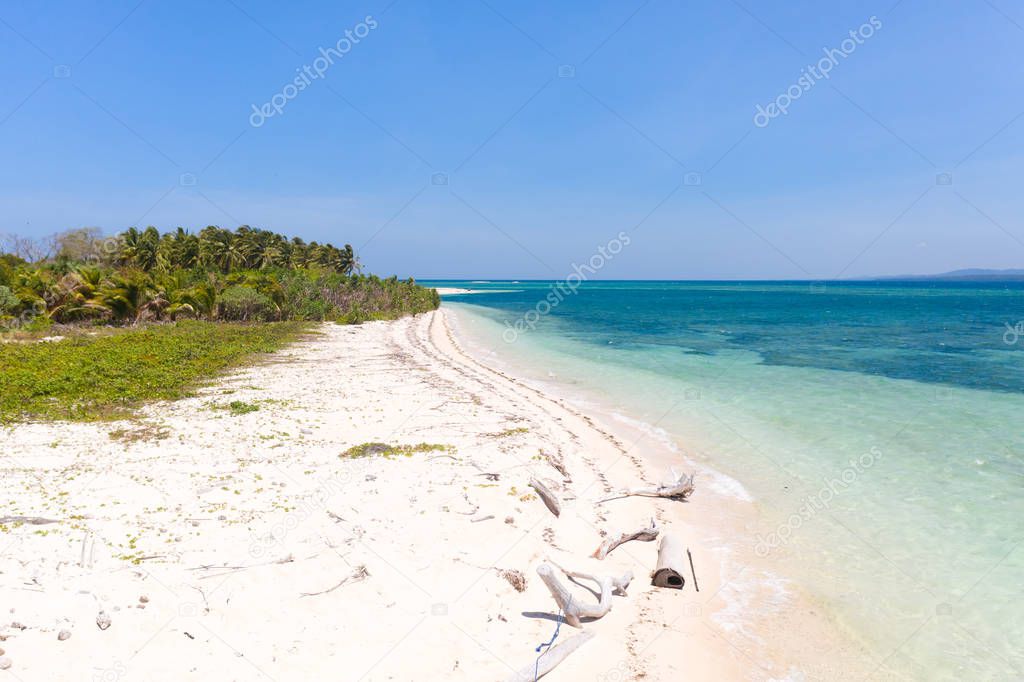 Wild beach with white sand and palm trees.