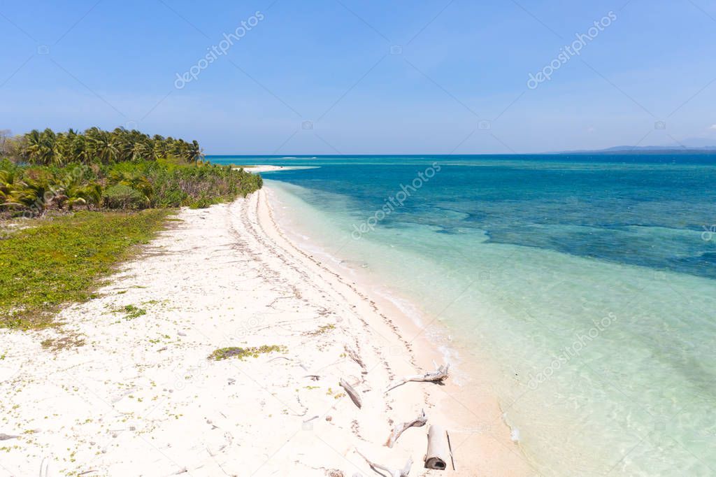 Wild beach with white sand and palm trees.