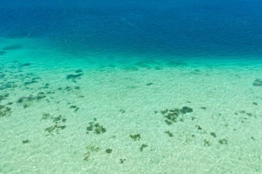 Tropikal denizde mercan resifleri ve mercan adaları, en iyi manzara. Deniz yüzeyi.