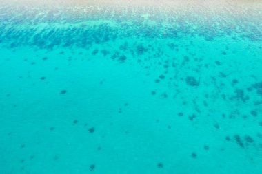 Tropikal deniz detayları, gün ışığında mavi su.