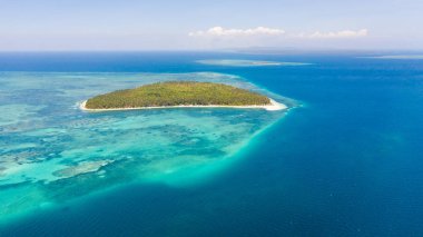 Patongong Adası, Palawan, Filipinler. Palmiye ormanı ve beyaz kumlu tropik ada. Yeşil ada ile mercan adası.