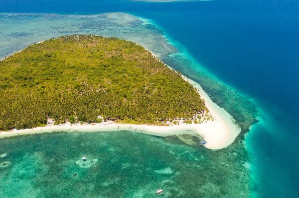 파동공 섬, 팔라완, 필리핀. 야자수 숲과 하얀 모래와 열대 섬. 푸른 섬환초. — 스톡 사진
