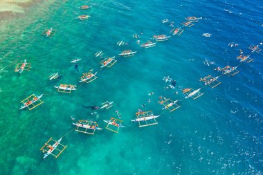 Oslob Balina Köpekbalığı Filipinler 'de, Cebu Adası' nda.