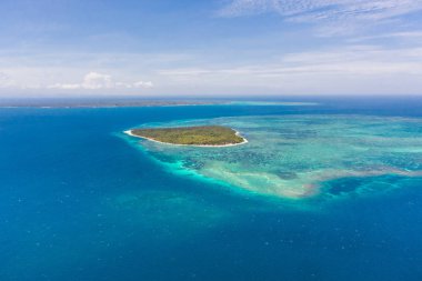 Patongong Adası, Palawan, Filipinler. Palmiye ormanı ve beyaz kumlu tropik ada. Yeşil ada ile mercan adası.