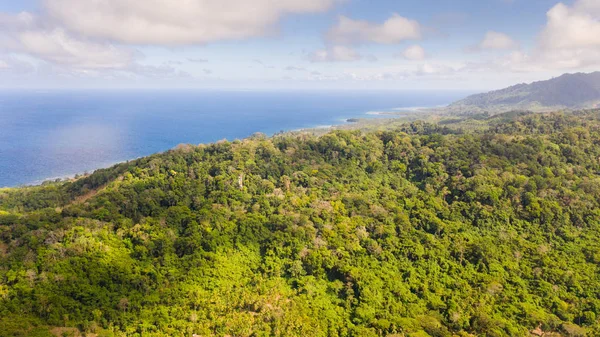 Floresta tropical em uma grande ilha, vista de cima. Maciço florestal nas colinas de uma ilha tropical . — Fotografia de Stock