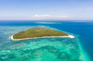 Patongong Adası, Palawan, Filipinler. Palmiye ormanı ve beyaz kumlu tropik ada. Yeşil ada ile mercan adası.