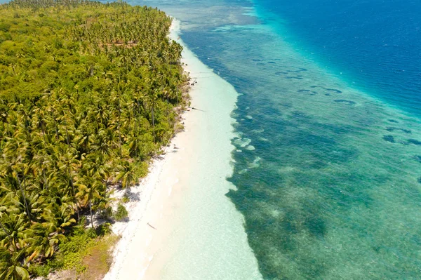 Playa tropical con palmeras y arena blanca, vista superior . — Foto de Stock