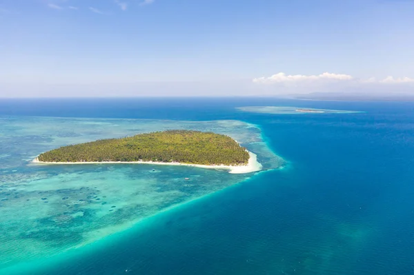 Patongong Adası, Palawan, Filipinler. Palmiye ormanı ve beyaz kumlu tropik ada. Yeşil ada ile mercan adası. — Stok fotoğraf